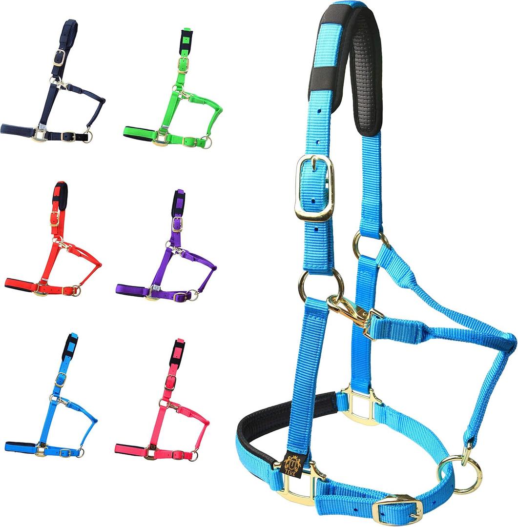 T TEKE Adjustable Horse Halters by Heavy Duty Soft Nylon, Padded with Anti-rubbing Waffle Neoprene on Both Crown & Nose ((XL), Blue)