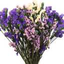 Dried Flowers Bundles Forget Me Not with Stems Natural Dried Flowers Purple Pink and White Preserved Dried Flowers Bouquet for Floral Arrangements Wedding Party DIY Resin Vase Home Decoration