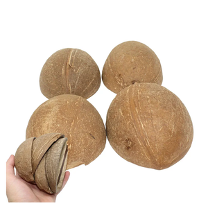 Bonka Bird Toys 1031 Pk10 Half Shell Coconuts Natural Forage Chewing Party Arts Craft Parrot Macaw African Grey