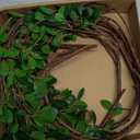 Floroom 4 pcs Artificial Eucalyptus Green Branches 44.3 Inch, Faux Greenery Plant Stems Ficus Twigs Fake Tree Branches for Vase Home Decorations