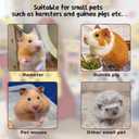 Guinea Pig Tunnel House, Small Pet Toy Cages Tunnels and Tubes with Observation Window for Hamsters,mice,Guinea Pig, Ferret,Chinchilla Hedgehog Hiding and Resting. 5 Room-red