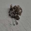 Interactive Cat Toy Rechargeable Automatic Chirping Owl Kitten Toy with Catnip, Auto Beating Wings Flying Bird Cat Toys for Indoor Cats to Play Alone, Never Boredom