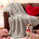 Bedsure GentleSoft Beige Throw Blanket for Couch - Cozy Soft Fleece Blankets for Women, Cute Small Plush Fuzzy Throws for Girls, Birthday Gifts for Women Men Her Him, Room Home Decor, 50x60 Inches