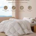 APSMILE Goose Feather Down Fibers Comforter Full Size, Organic Cotton Duvet Insert, All Season Warmth, Baffle Box, Quill-Free Soft Fluffy Hotel Bed Comforter (Ivory White, 82x86 Inch)