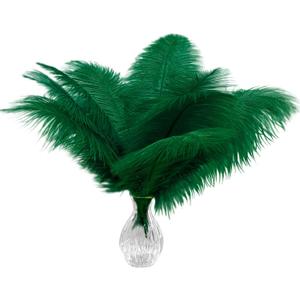Piokio 20pcs Natural Blackish Green Ostrich Feathers 10-12 inch (25-30cm) Bulk Feathers for Home Decoration and DIY Clothing and DIY Clothes Decoration, Gatsby Decorations