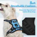 rabbitgoo Dog Harness No Pull with 2 Leash Clips, Adjustable Soft Padded, Reflective Oxford No Choke Pet Vest with Easy Control Handle for Puppy, Blue, XS