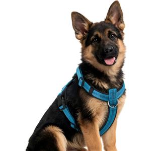 No Pull Dog Harness, Arcolma,Made to Roam Collar Design with Breathable Neoprene Padding, Y-Shaped Anti-Choking,Double D-Ring Traction, High-Reflecti (Blue, XL)