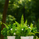 Plants Outdoor Summer Decor