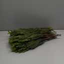 16 Pcs Realistic Norfolk Pine Stems, 18" Artificial Norfolk Pine Branches, Faux Christmas Greenery Evergreen Stems Picks for Vase DIY Crafts Christmas Green Decorations Indoor Home Dcor