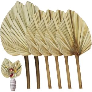 RUENXG Dried Palm Leaves 6 Pcs Naturally Dried Palm Spears Bouquet for Boho Wedding, Tropical Home Decor, Table Arrangements  Eco-Friendly Handcrafted Palm Fans (13.8 2 Sizes)