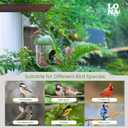 LONA Bird Feeders for Outdoors 2 Pack, Tube Birds Feeder Weatherproof with Multiple Hanging Methods, Wild Feeding Silo for Outside, 1 Port
