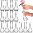 16 Pack Glass Bud Vase, Clear Small Flower Vases in Bulk, Vintage Glass Vases for Centerpieces, Mini Vase Floral Bottle for Rustic Wedding Home Table Decor, Floral Party Arrangements