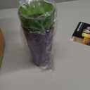 US Acrylic Optix Plastic Reusable Drinking Glasses (Set of 8) 20oz Water Cups in Jewel Tone Colors | BPA-Free Tumblers, Made in USA | Top-Rack Dishwasher Safe