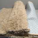Fluffy Rug Shaggy Area Rug, Beige 2x4 Area Rugs for Bedroom, Small Bedside Rug, Soft Fluffy Shaggy Entryway Throw Rugs for Living Room Bedroom Kids Room Home Decor