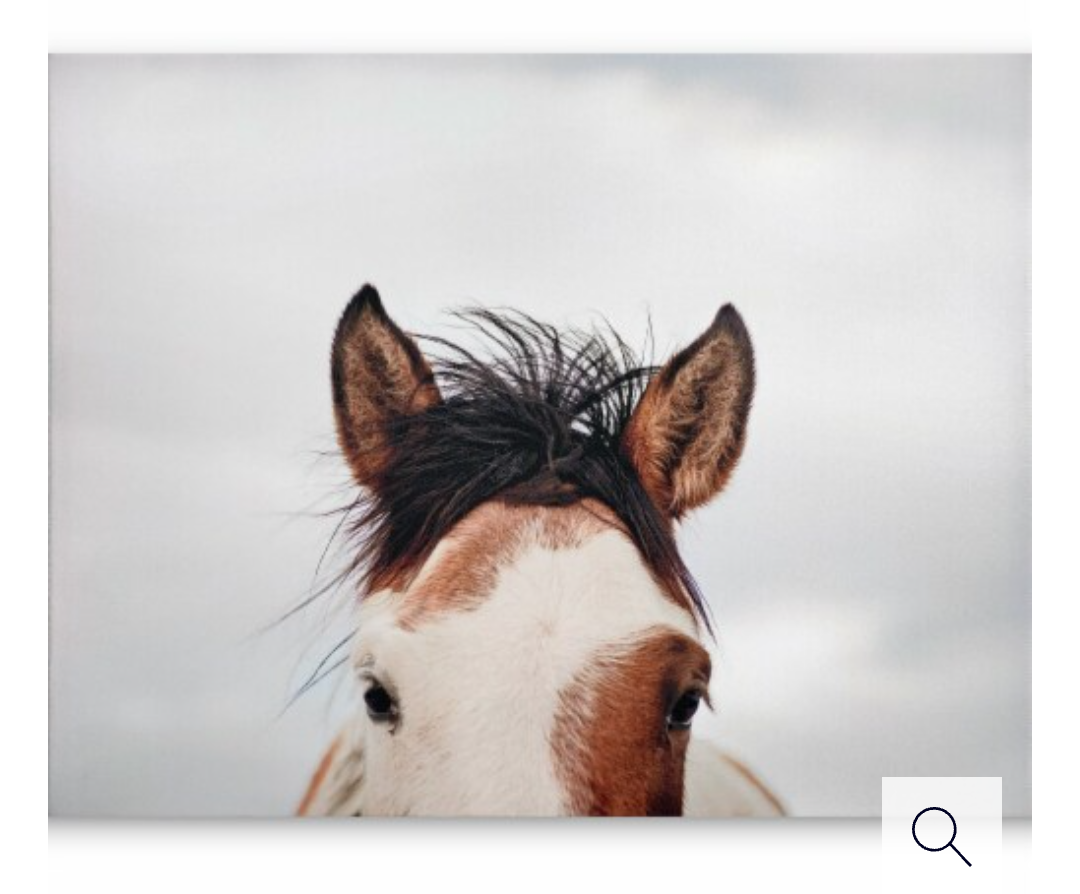 JLA Home It's in the Eyes Printed Canvas - 28 x 22 in