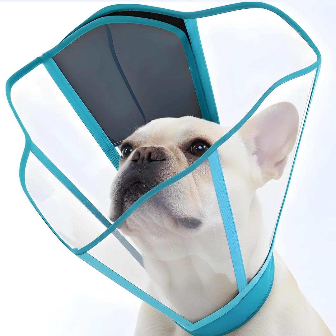 Adjustable Deep Dog Cone Collar for Dogs to Stop Licking, Soft Transparet E Collar for Medium Dogs After Surgery, Comfort Wound Recovery Cone with Padding, Foldable & Easy-Clean Pet Cone(Blue-Green,M)