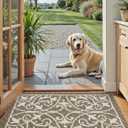 DEXI Front Door Mat Indoor Entryway, Inside Welcome Entrance Doormat Low Profile Thin, Non Slip Washable Entry Mats for House Floor Dirt Trapper, 32x48, Brown