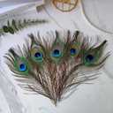 THARAHT 24pcs Peacock Feather Natural in Bulk 10-12 inch 25-30cm for Vase Craft Vase Wedding Home Party Christmas Day Decoration Peacock Feathers