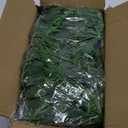 CEWOR 48 Pack 7 Feet Artificial Ivy Garlands, Fake Vines Greenery Hanging Plants Green Leaves Backdrop for Room Bedroom Wall Decor, Jungle Themed Party Wedding Decorations