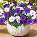 Artificial Flowers for Outdoors, Faux Morning Glory Spring Summer Decoration, Fake Flowers Plants UV Resistant Look Real Silk Flowers for Outside Planter Front Door Porch Patio Yard (12, Purple-White)