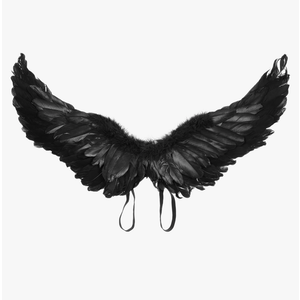 Angel Wings Cosplay Halloween Costume With Adjustable Straps - Black White Feather Wing (Black, One Size)