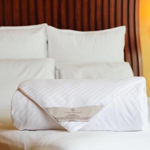 CUDDLE DREAMS Silk Comforter for Spring/Summer/Fall, 100% Long-Strand Silk Filling, Natural & Breathable (Twin Size) (TWIN, 68 IN x 86 IN)