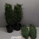 3FT Artificial Cedar Topiary Trees for Outdoors Potted Fake Cypress Trees Faux Evergreen Plants for Home Porch Decor Set of 2