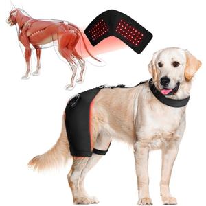 Dog Hip Brace with Red Infrared Light Therapy  Pain Relief for Arthritis, Hip Dysplasia, Spine Issues & Muscle Recovery, Portable & Cordless, Patent Pending(Male Dog, XL) (Extra Large)