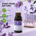 Essential Oils Set for Diffusers  12 Pack Aromatherapy Oils for Sleep, Relaxation & Focus  Lavender, Peppermint, Eucalyptus, Vanilla & More  Gift Set for Home & Office (0.03 Fl Oz (Pack of 12))