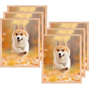 8x10 Set of 6 Oak Wood Picture Frame Solid Wooden Photo Frame Natural Wood Color Frames with Plexi-Glass for Wall Mounting or Tabletop Living Room Bedroom Home Decor