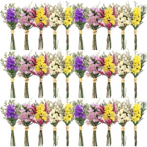Nuanchu 30 Pcs Mini Dried Floral Flower Forget Me Not Bouquets Dried Embossing Flowers with Stem Natural Dried Bundles Flowers Bohemia Dried Flowers for Vase, Wedding, DIY Scrapbook Card Party Decor (Purple, Pink, White, Yellow)
