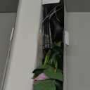 Outdoor Solar Garden Rose Stake Lights [Set of 6] Flower Path Solar Light with 12 Rose Flowers, Garden Decor Pathway Landscape Lighting Lights for Patio Yard Decoration(Yellow and Pink)