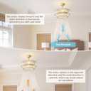 Gold Fandelier Ceiling Fans with Lights, 20" Gold Crystal Chandelier Ceiling Fan with Light Remote Control, Caged Mid Century with 6 Speeds for Bedroom, Living Room, Nursery