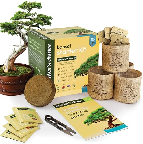 Bonsai Starter Kit  Gardening Easter Gift for Women & Men  Bonsai Tree Growing Garden Crafts Hobby Kits for Adults, Unique DIY Hobbies for Plant Lovers  Unusual Christmas Gifts Ideas