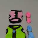 SATINIOR 2 Pieces Guinea Pig Clothes Baby Ferret Rats Hamster Soft Mesh Harness Leash Vest Set with Bell for Guinea Pigs, Hamster, Ferret, Rabbit, Chinchilla and Similar Small Animals(Green, Pink,S)