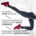 Pure Protein Bars, High Protein, Nutritious Snacks to Support Energy, Low Sugar, Gluten Free, Chocolate Peanut Caramel, 1.76oz, 12 Count (Pack of 1) (Packaging May Vary)