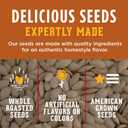 DAVID All Natural Pumpkin Seeds, 5 oz. (Pack of 12) (EXP 10/02/26)