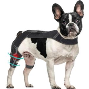 Dog Knee Brace with Vest, Support Dog Acl Brace Hind Leg Torn, Adjustable Dog Rear Leg Braces for Cruciate Ligament Injury, Joint Pain Relief and Arthritis (1, Single)