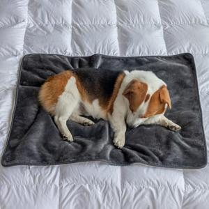 MERRYLIFE Waterproof Throw Blanket for Bed Couch Reversible Absorbent Spills Stain Leak Proof Dog Liquid Pee Proof Bed Furniture Protector (Grey, 30"*40")