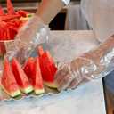 KLEEN CHEF 525 PCS Plastic Disposable Gloves Medium | Clear Disposable Gloves for Food Prep, Cooking, Cleaning, Food Handling (X-Large)