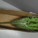 FOREST PRINCE 50" Artificial Boston Ferns, Fake Bush Plants, Large Faux Ferns with 96 Fronds for Outdoors Home Decor