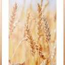 wyooxoo 16x24 Frame Poster Frames Display Pictures 13x19 With Mat or 16x24 Picture without Mat, Metal Frames Wall Gallery Photo Frames With PlexiGlass (Brushed Copper)