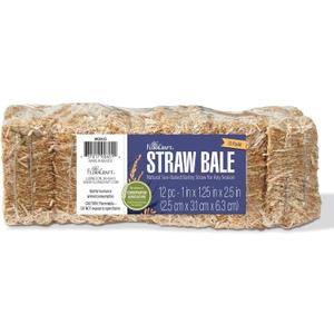 FloraCraft 12 Piece Decorative Straw Bale 1 Inch x 1.25 Inch x 2.5 Inch Natural