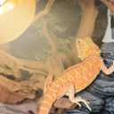 REPTI ZOO 125W Reptile Heat Lamp - Full Spectrum UVA UVB Sun Lamp - Self-Ballasted Vapor Basking Spot Lamp/Bulb/Light for Reptiles and Amphibians