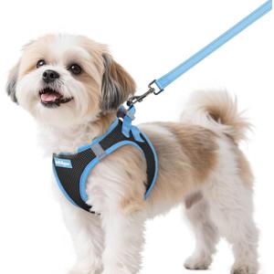 Rabbitgoo Dog Harness Small Sized and Leash Set, Step-in Breathable Pet Harness, Soft Walking Reflective Puppy Vest for Small Dogs, Black & Light Blue, S