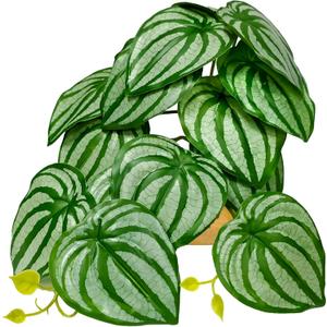 Woyrise Reptile Plants for Terrarium Decor, Ball Python Tank Accessories fit Bearded Dragon Crested Leopard Gecko Lizard Chameleon Snake Frog Tortoise Hermit Crab - Fake Calathea Orbifolia