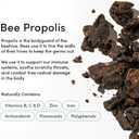 Kids Throat Soothing Lollipops by Beekeeper's Naturals - Doctor Formulated Immune Support, Vitamin D & Honey, Under 2g Sugar, Clean Ingredients,15 ct