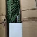 6ft Artificial Golden Cane Palm Tree with LED Fairy Lights & White Tall Planter - Lifelike Faux Tropical Palm Plant with Realistic Trunk and Palm Leaves for Home Office Living Room Corner Decor