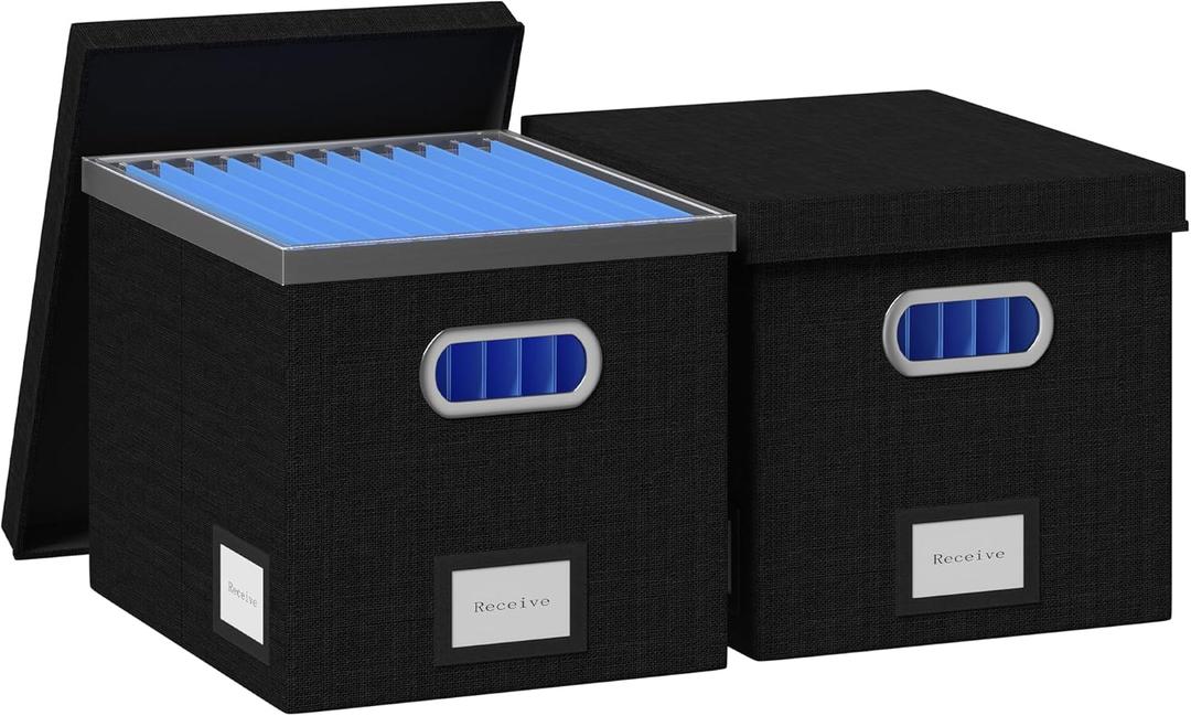 File Organizer Box - File Boxes for Hanging Files with Lid Set of 3 Decorative Hanging Folders Organizer with One-Piece Plastic Frame Slides (Black, 13.2 * 10.1 * 10.1in(2Pack))