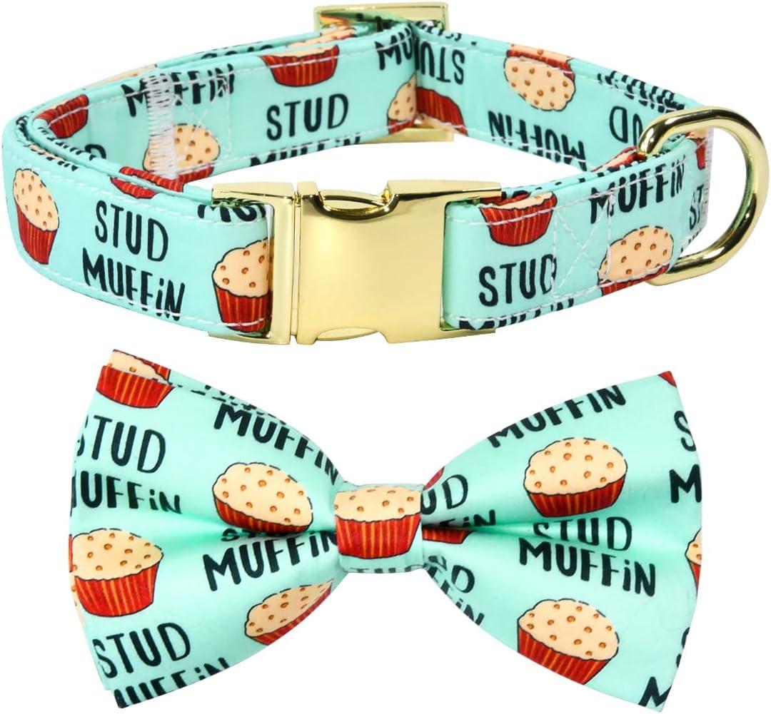 Stud Muffin Dog Bow Tie Dog Collar Accessory, Detachable Bowtie, Adjustable Collar for Dogs (M (12 --20"), Stud Muffin)